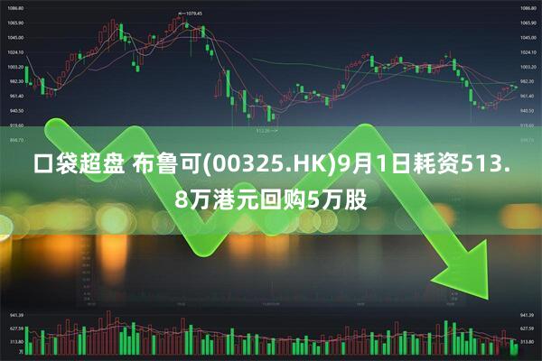 口袋超盘 布鲁可(00325.HK)9月1日耗资513.8万港元回购5万股