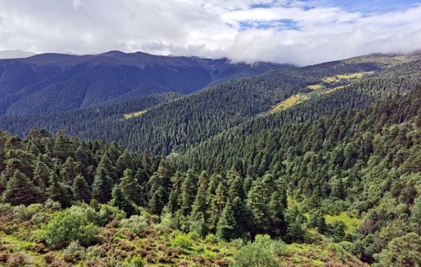 中国银河证券 生物多样性富集区：如何在保护和利用中找到平衡点｜记者观察