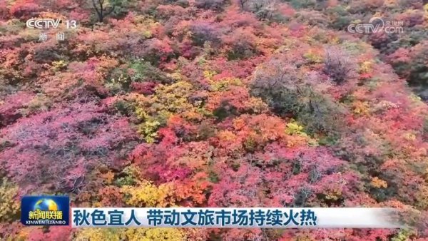 优配货主 秋色宜人带动文旅市场持续火热