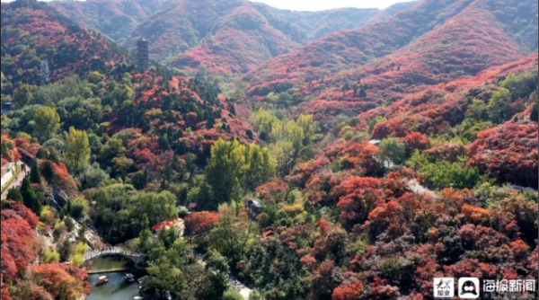 城中投资 巧用“红叶”带红特色文旅