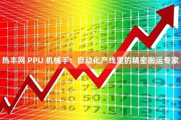 热丰网 PPU 机械手：自动化产线里的精密搬运专家